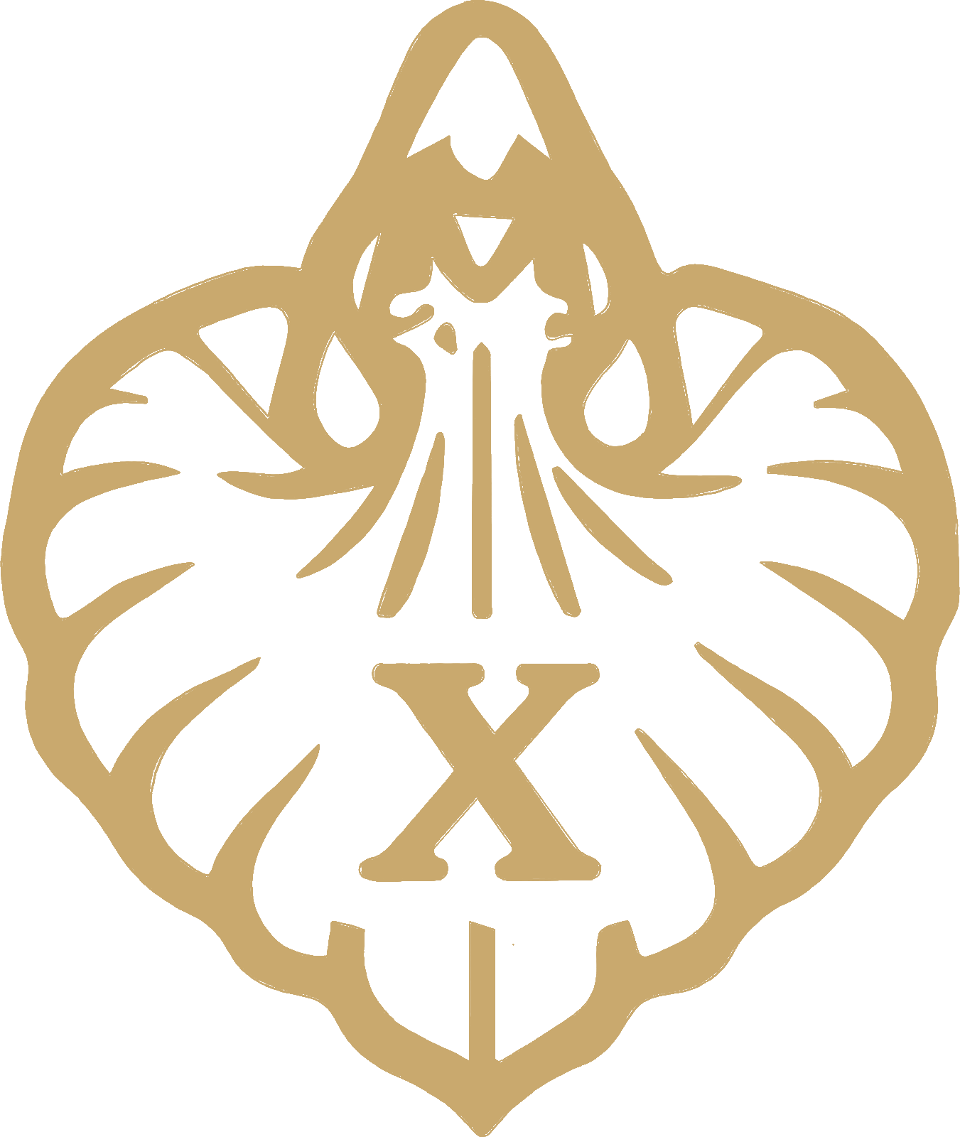 Xylaé